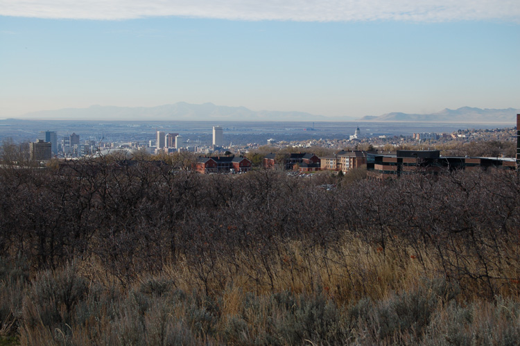 Gambel's oak above University of Utah's Research Park looking west towards Salt Lake valley
