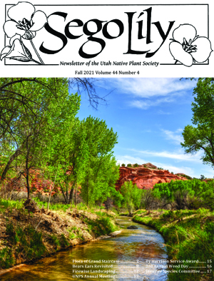 Sego Lily 2021 Fall Issue