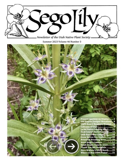 Sego Lily 2023 Summer Issue