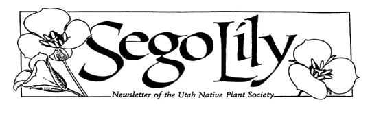 Sego Lily latest issue masthead