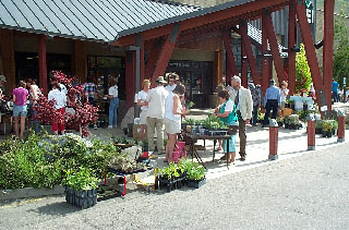 5/24/03 REI plant sale