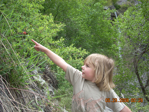 Moriah asks, What is this mom? 5/29/08