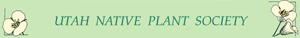 UNPS mobile logo