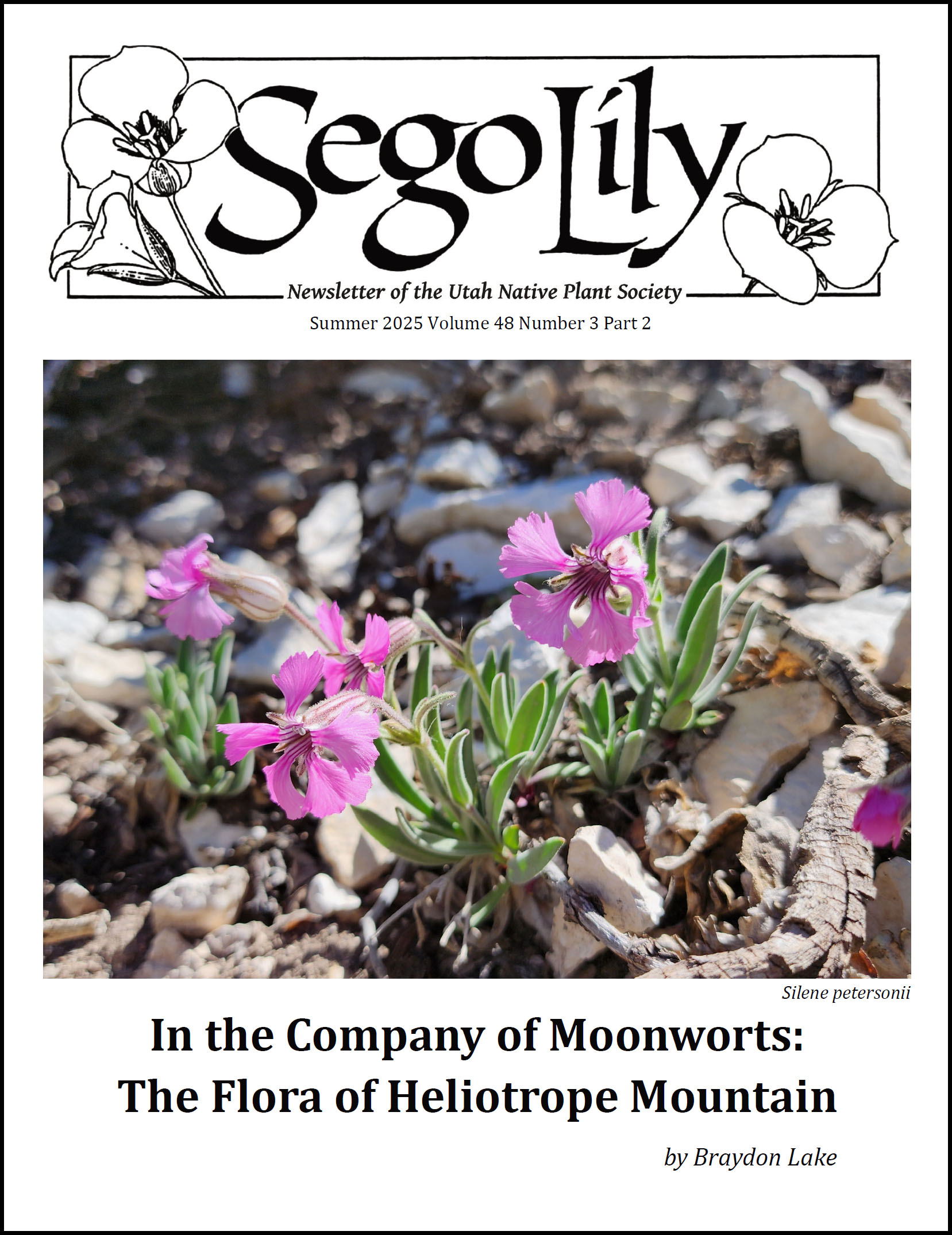 Sego Lily 2025 Summer Issue, Part 2