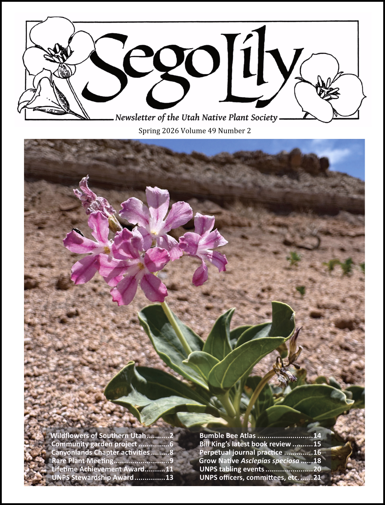 Sego Lily 2026 Spring Issue