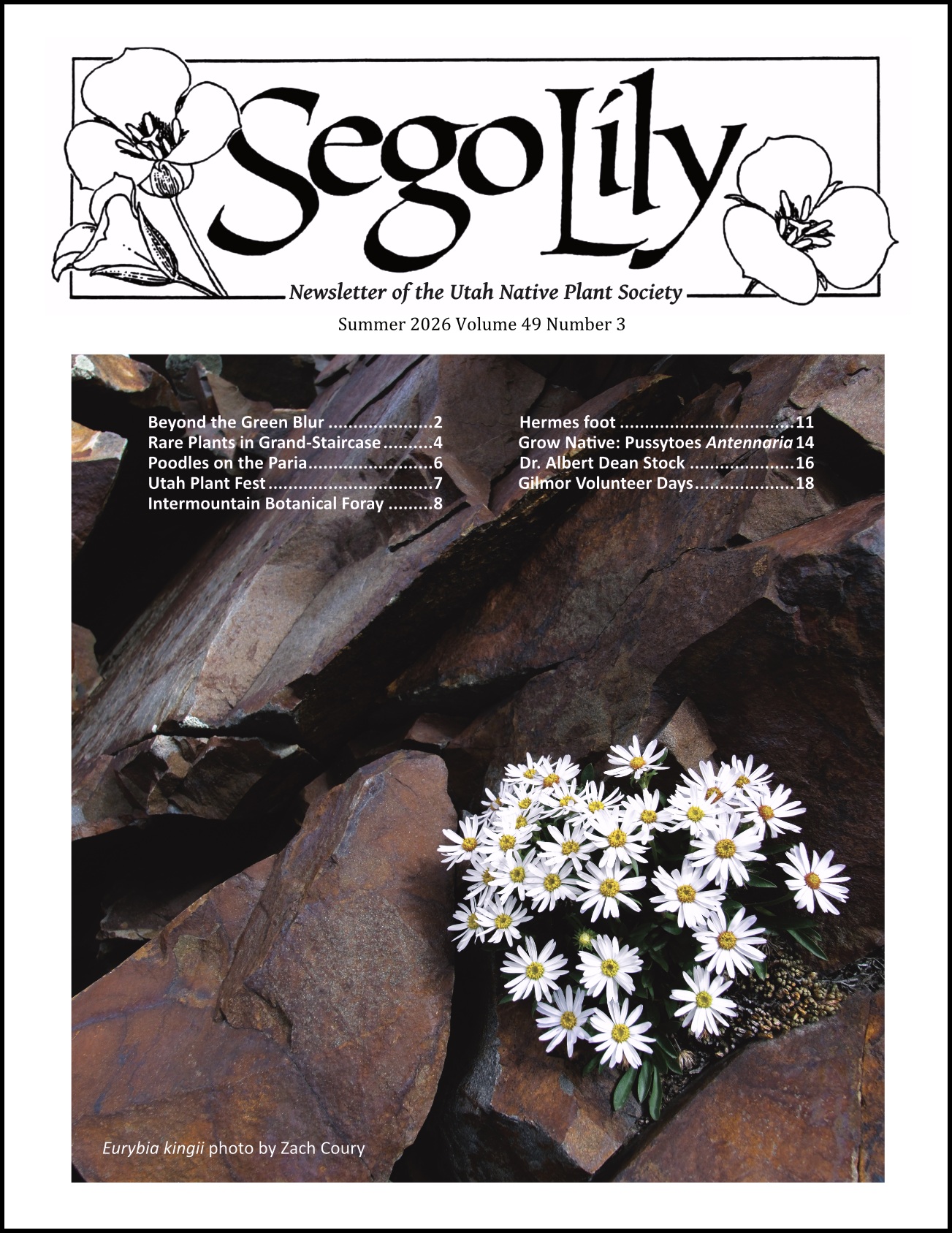 Sego Lily 2026 Summer Issue