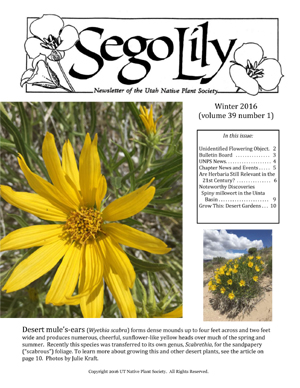 Sego Lily Winter 2016